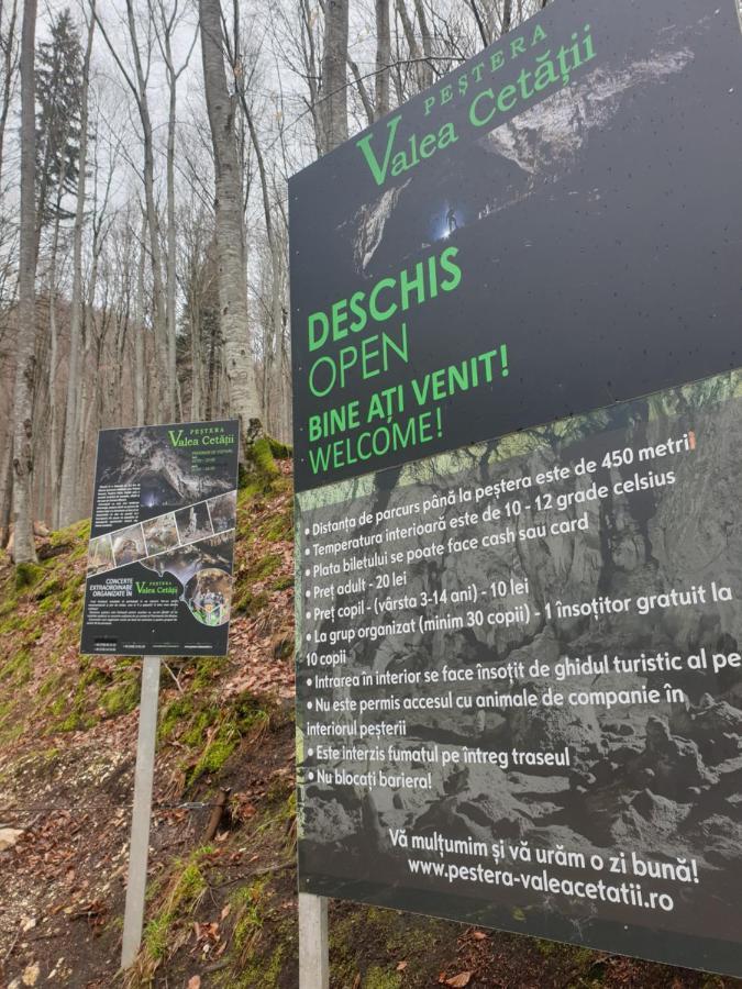 Vila Dionysos Brasov Ghimbav Exteriör bild